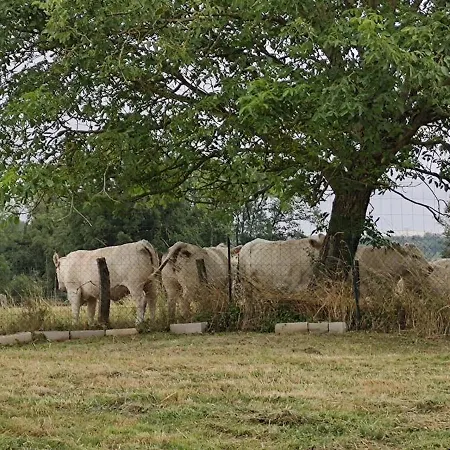 Hébergement de vacances La maison est dans le pré *